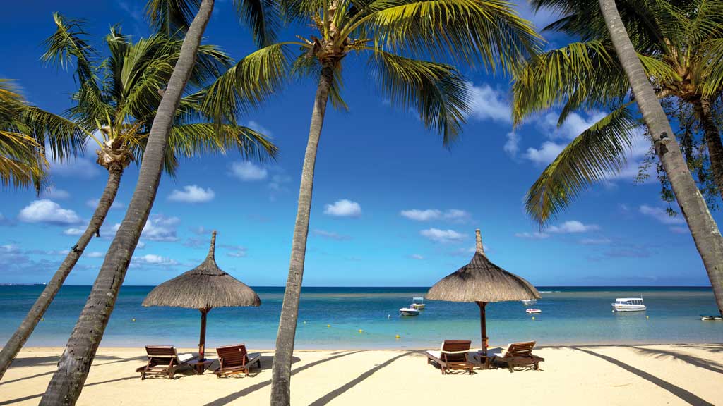 Détail de l'offre (PDF) Tropical beach