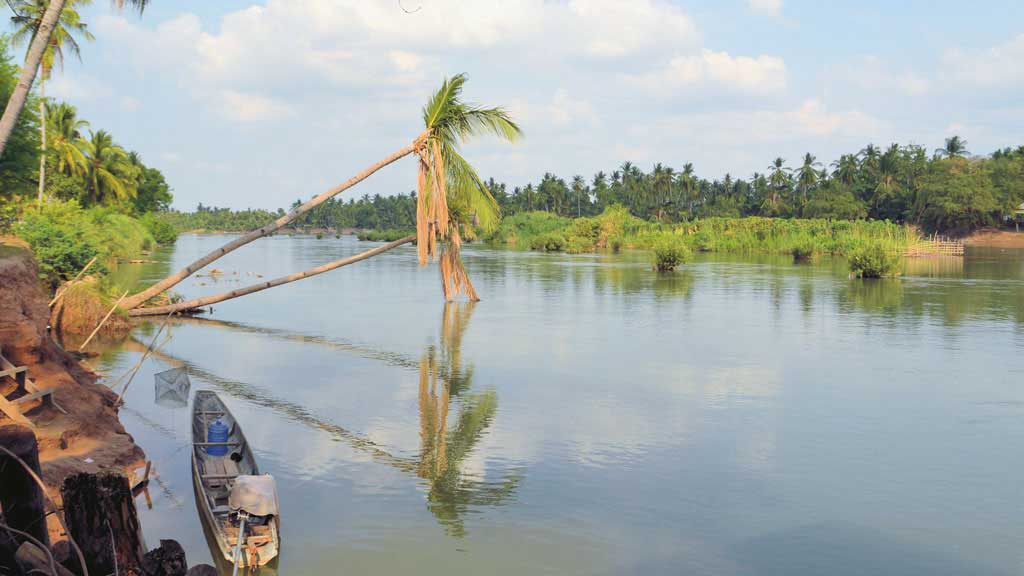 Tree and beautiful nature of Mekong river in Laos